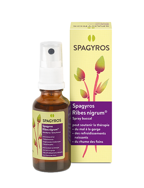 Spagyros Ribes nigrum, Spray zur Anwendung in der Mundhöhle