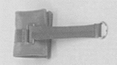 Circlet, Vaginalring